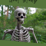 Skeleton Unit Study Pin 2
