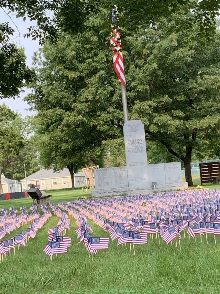 Veteran's Day Flag 2