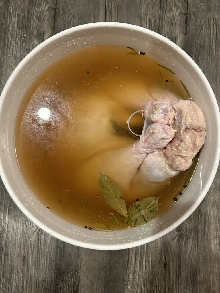 A whole turkey resting in a brine bucket.