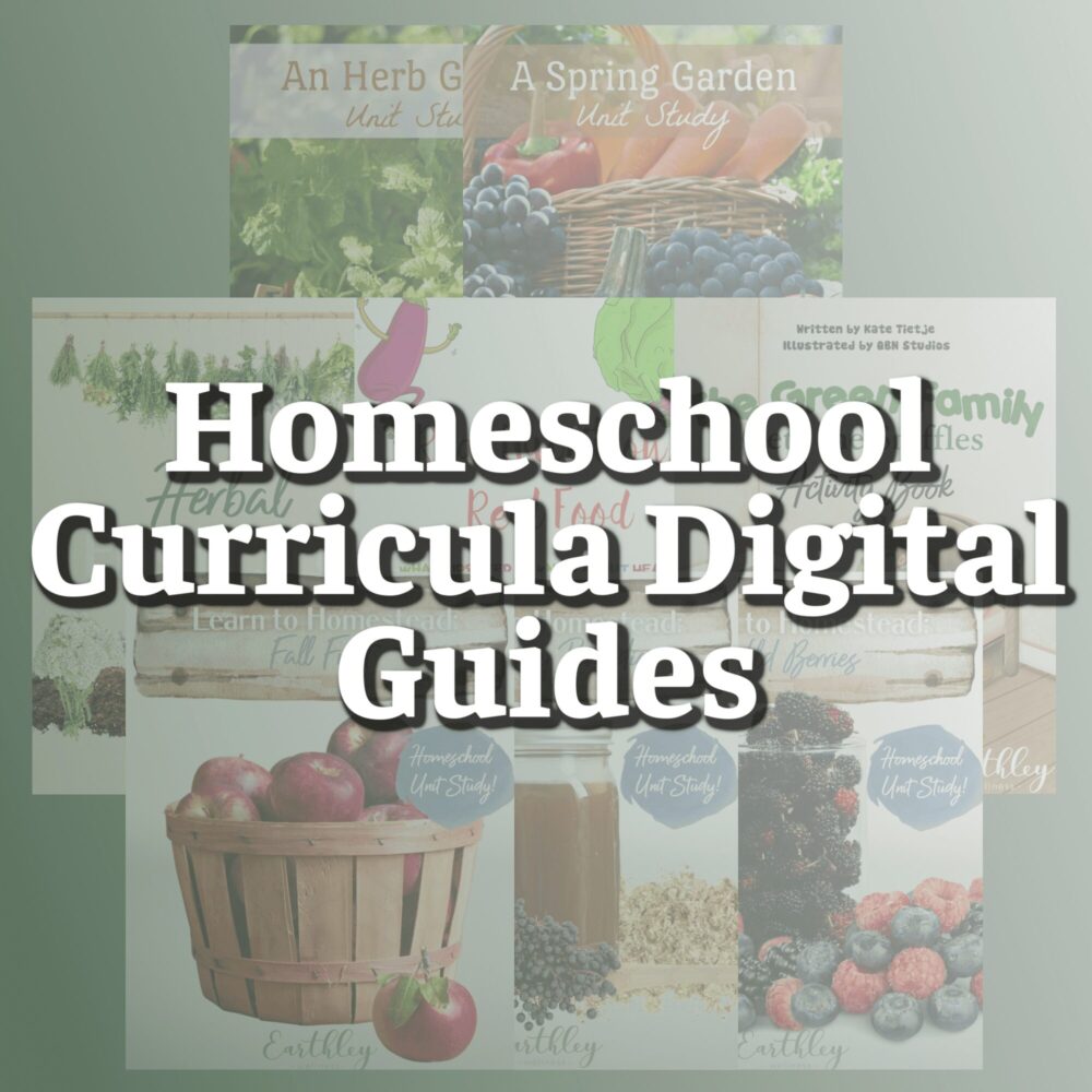 Homeschool Curricula Digital Guides
