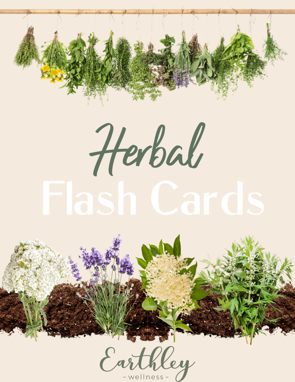 Herbal Flash Cards