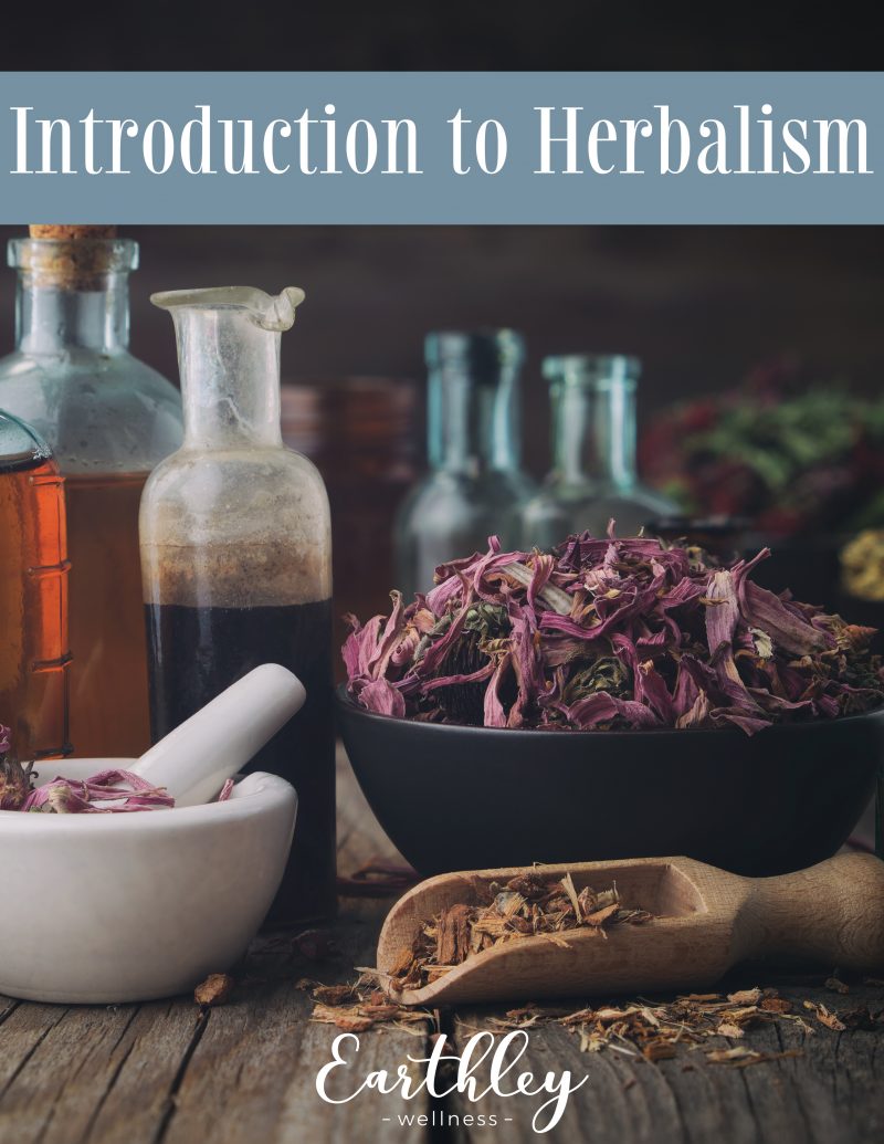 Intro to Herbalism