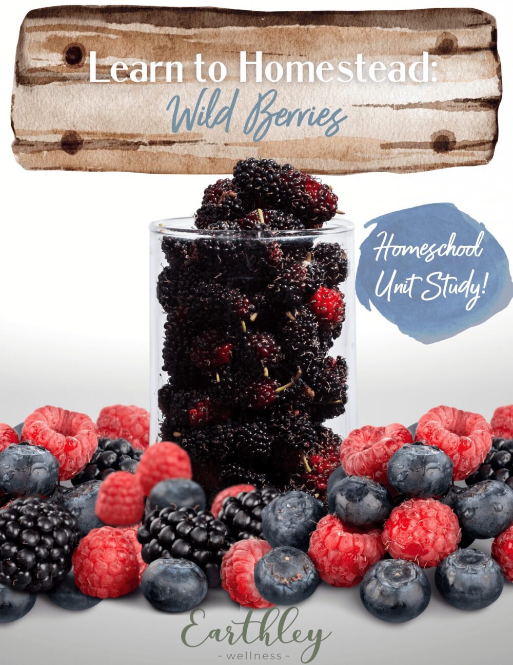 Learn-to-Homestead-Wild-Berries