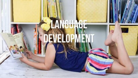 11 of the Best Homeschool Blogs You Should Be Following