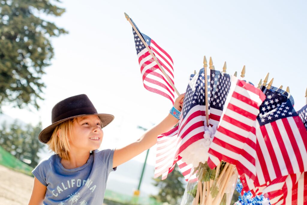 Veteran's Day Homeschool Round-Up