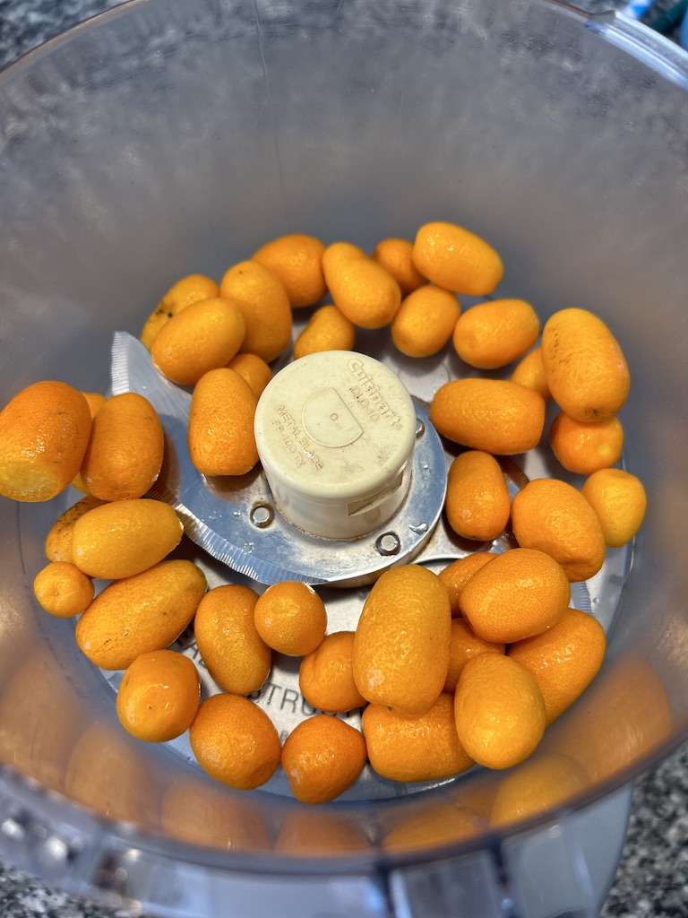 Whole kumquats in a food processor to make kumquat jam.