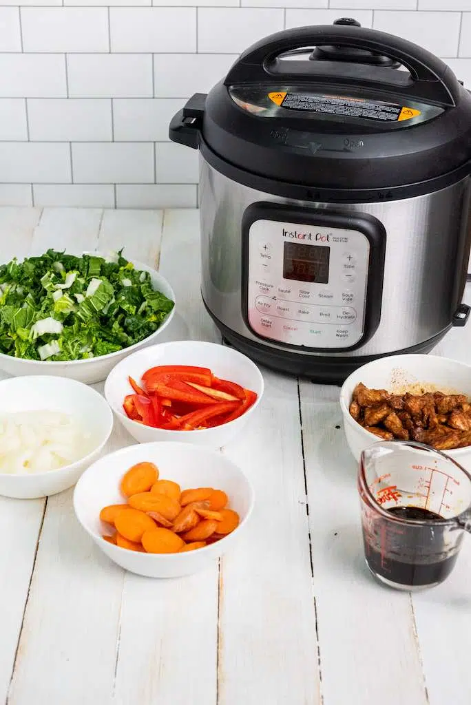 Easy Instant Pot Pork Lo Mein Recipe Instant Pot Ingredients 2