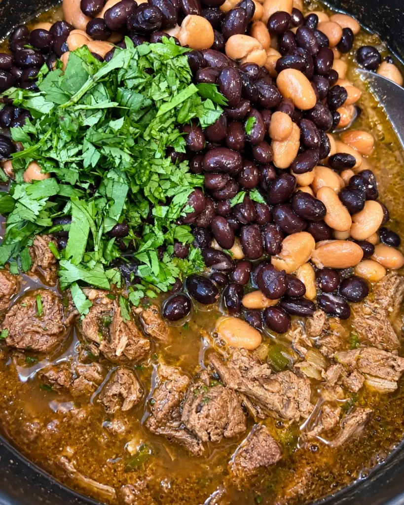 Delicious shredded beef with beans and cilantro for chimichangas