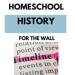 History Timeline Pin 2