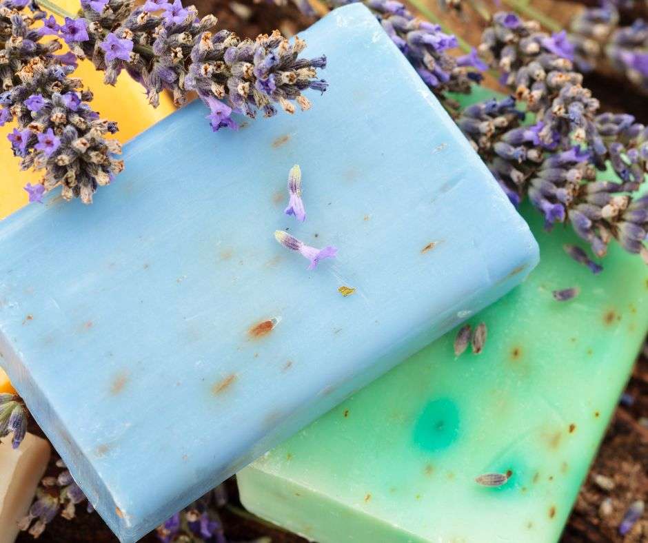 Two bars of homemade soap with lavender.