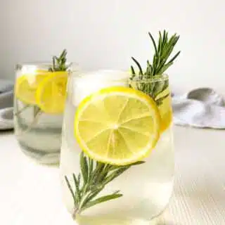 Apple Rosemary Gin Fizz