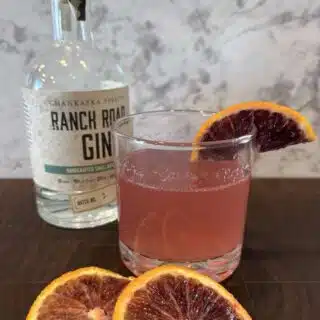 Blood Orange Gin Fizz 2