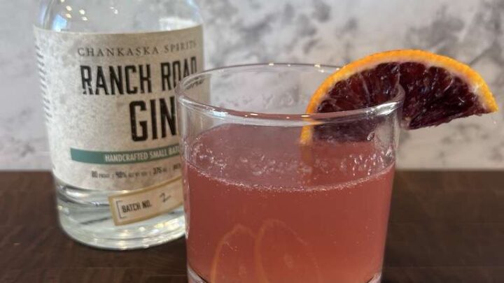 37 Great Gin Cocktails To Try