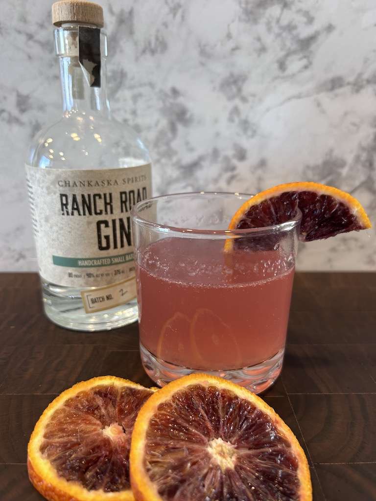 A cocktail glass full of bubbly blood orange gin fizz garnished with a slice of blood orange.