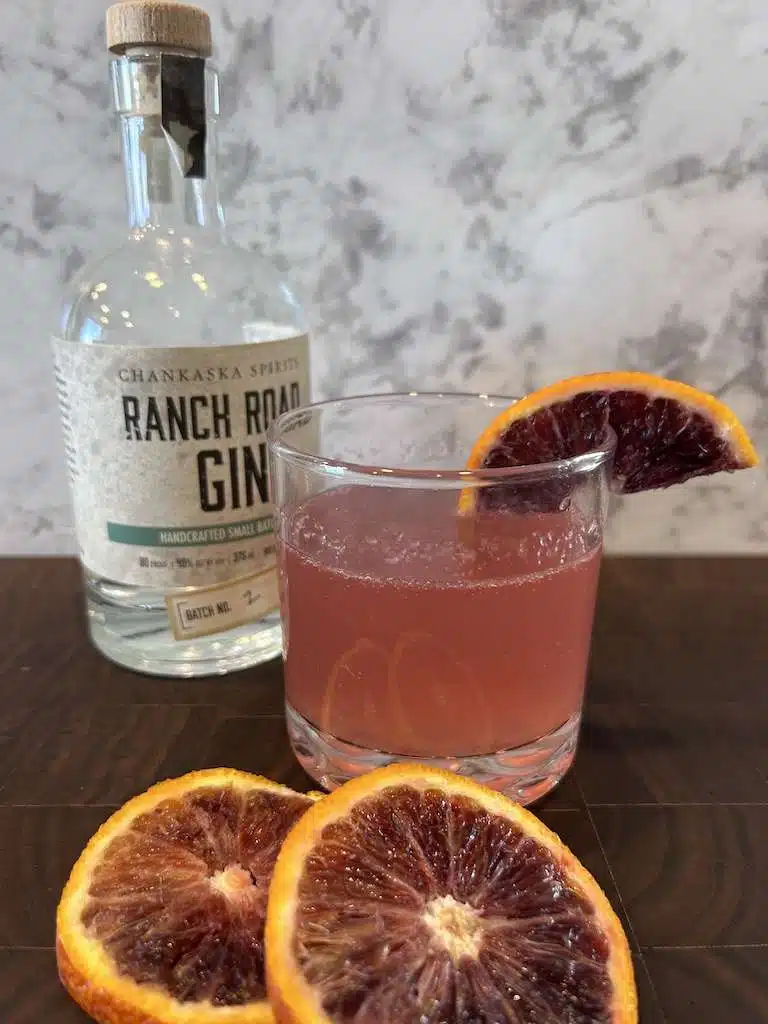 Blood Orange Gin Fizz 2