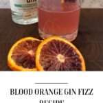 Blood Orange Gin Fizz Pin 3
