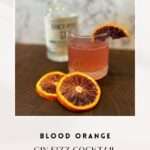Blood Orange Gin Fizz Pin 4