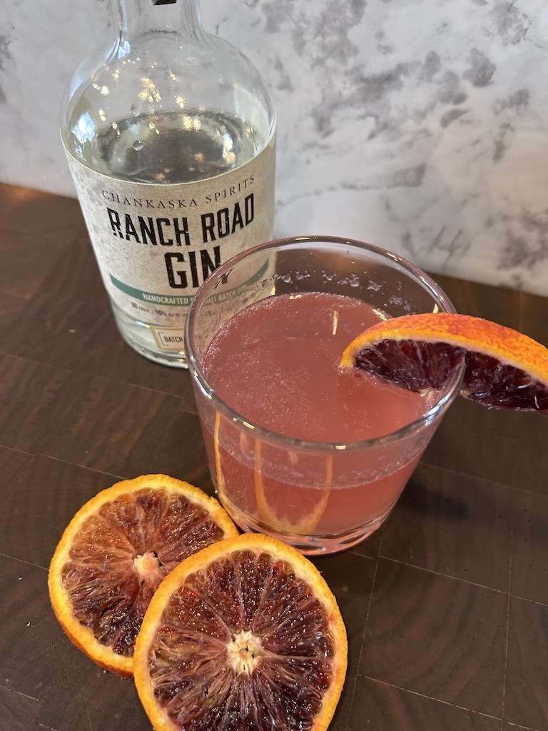 A blood orange gin fizz in a cocktail glass with a bottle of gin and fresh blood orange slices as garnish.