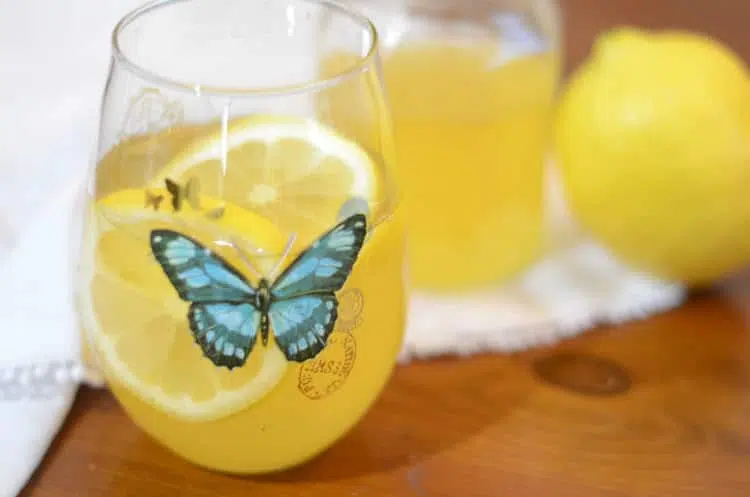 16 Top Instant Pot Drink Recipes