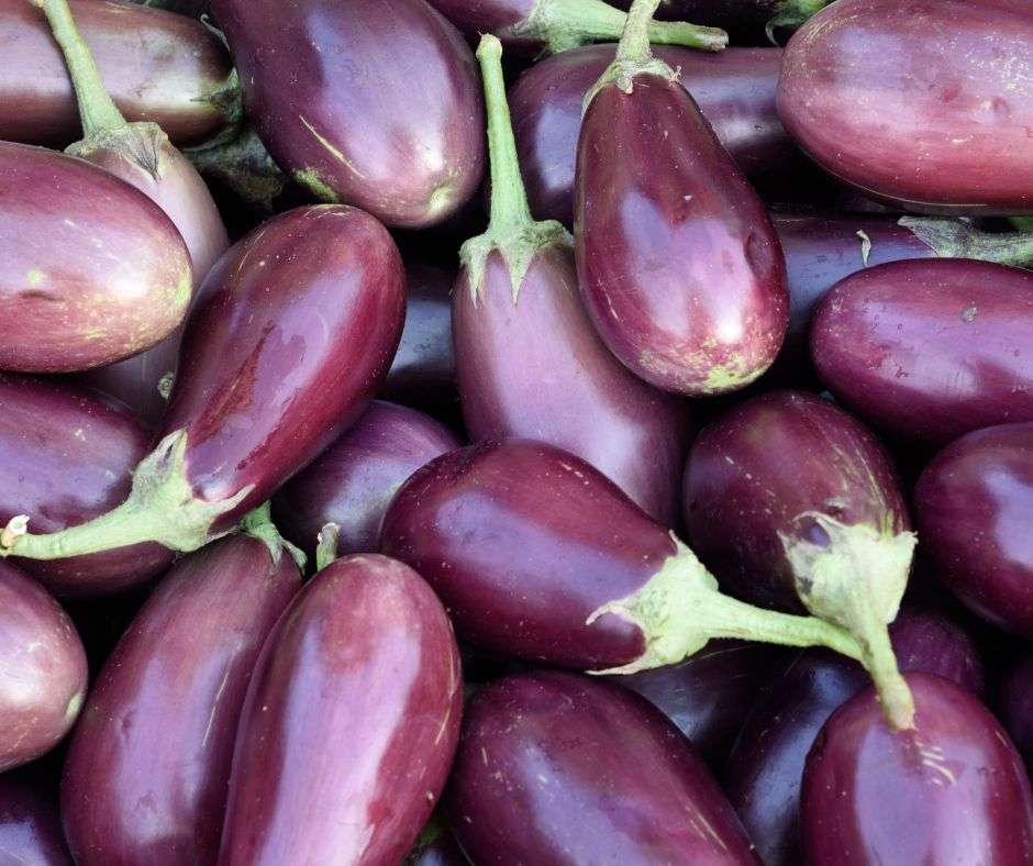 A close up photo of a pile of eggplants.