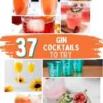 Gin Cocktails Pin 1