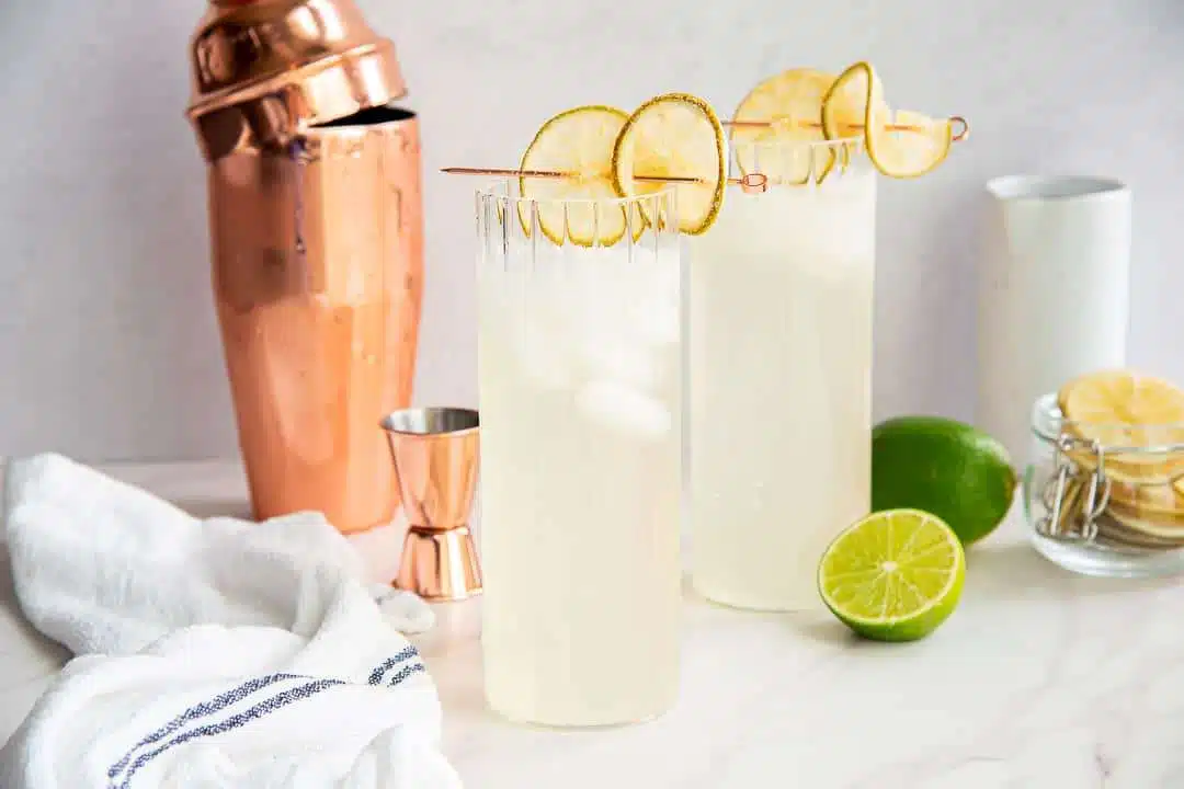 37 Great Gin Cocktails To Try