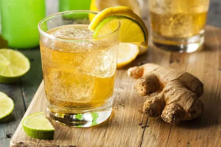 16 Top Instant Pot Drink Recipes