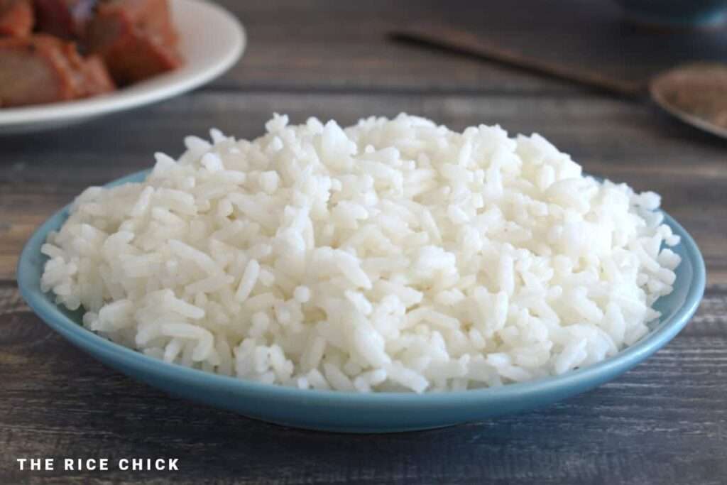 Fluffy steamed white rice on a blue plate, close-up