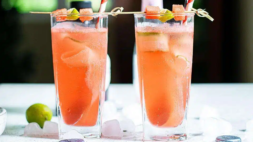 watermelon gin tonic