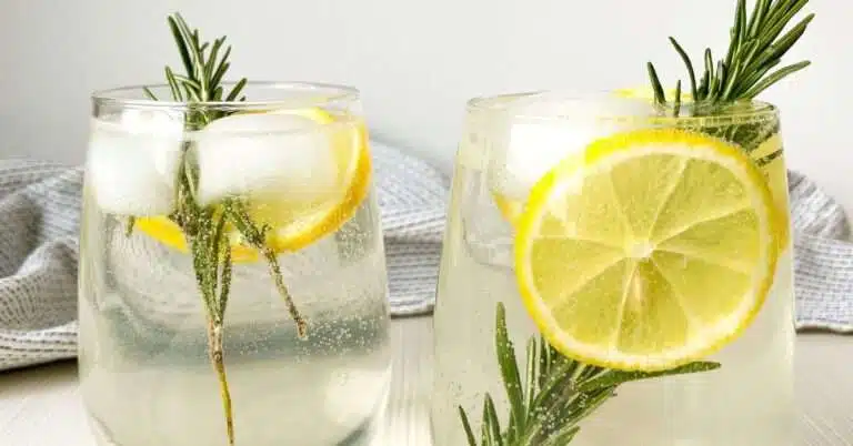 Rosemary Apple Gin Fizz
