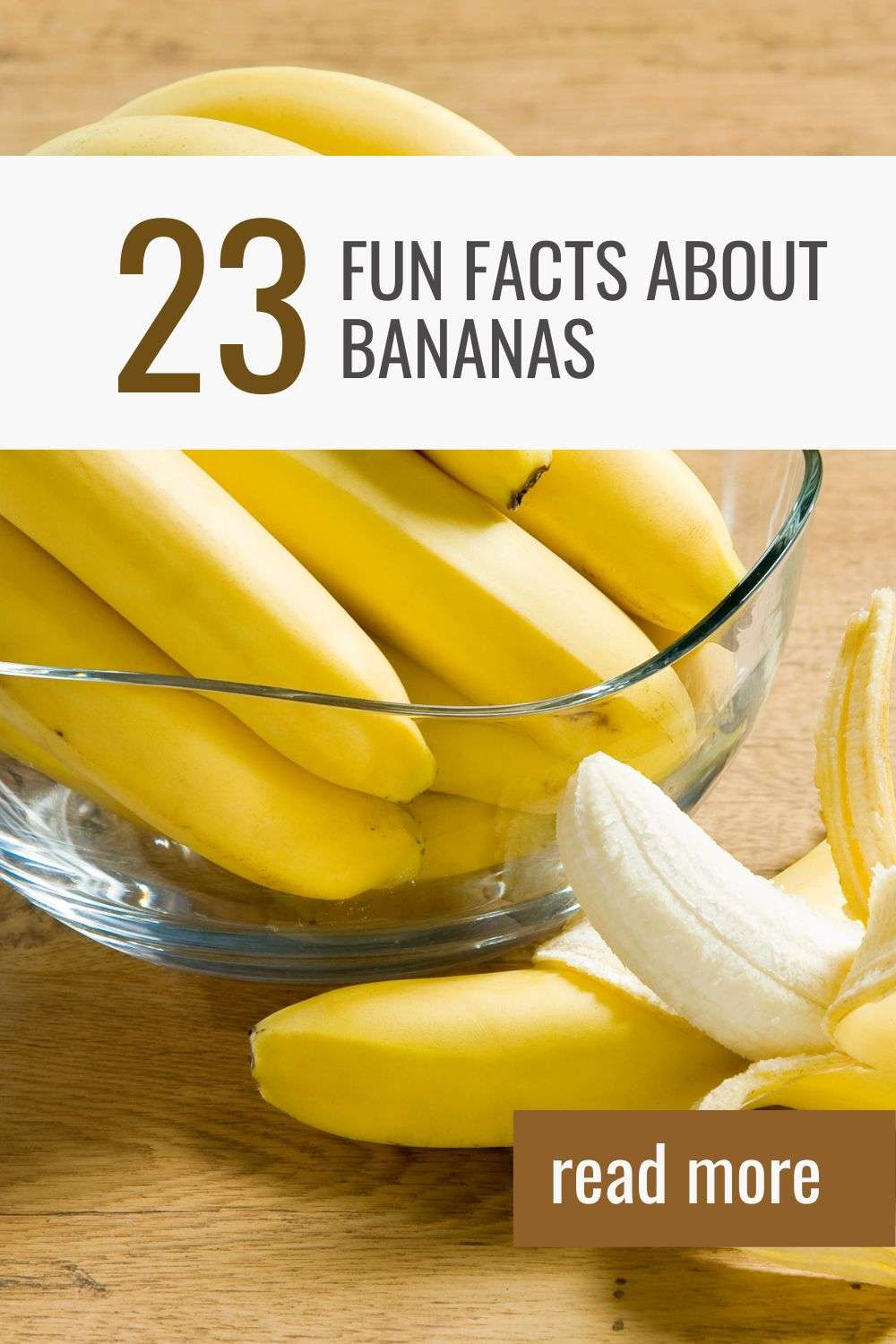 23 Fun Facts About Bananas