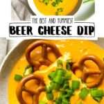 Beer Cheese Dip Pin 3
