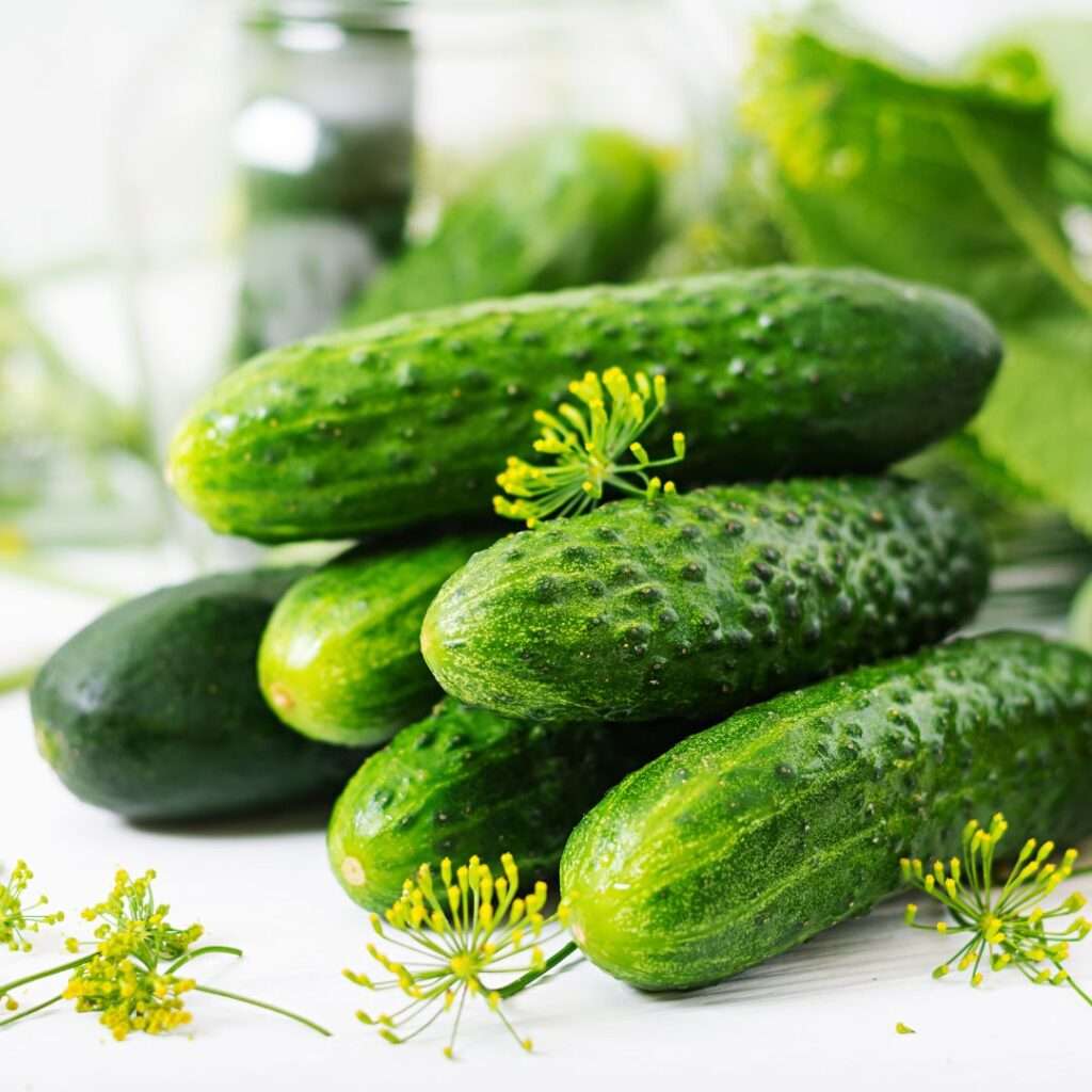 Fun facts about cucumbers