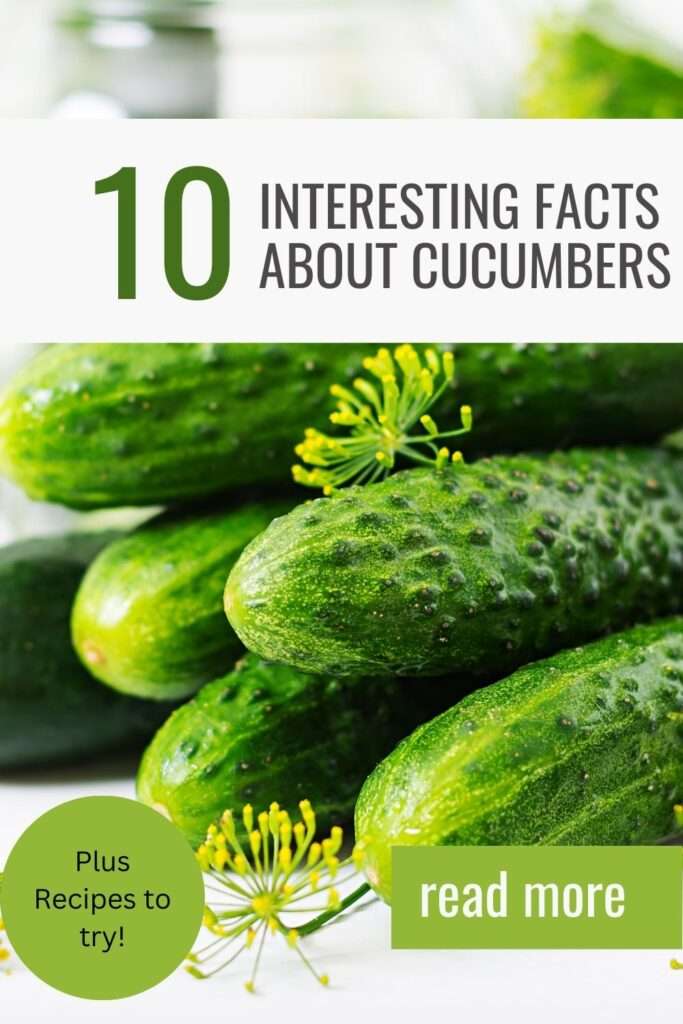 10 Fun Facts About Cucumbers