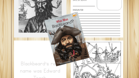 Pirate Unit Study - What We Used