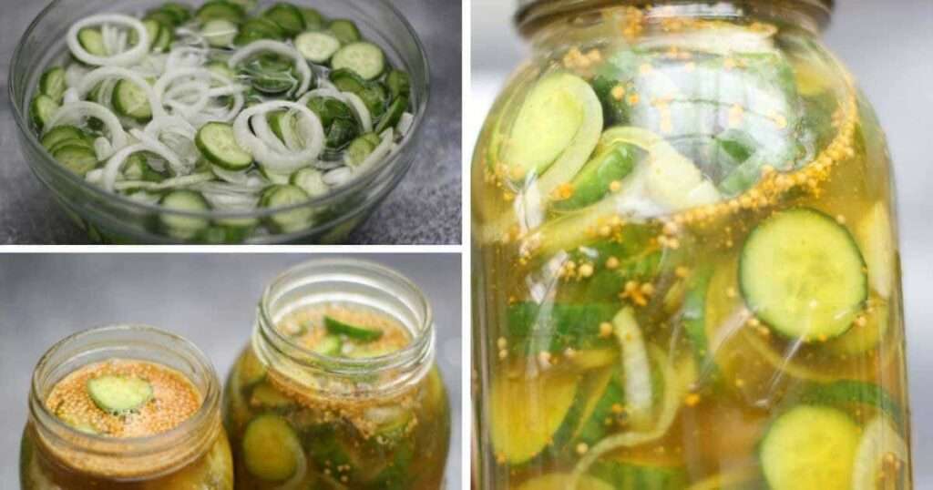 10 Fun Facts About Cucumbers Homemade bread and butter pickles with cucumbers and onions in jars