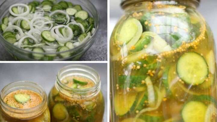 10 Fun Facts About Cucumbers