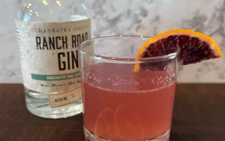 Blood Orange Gin Fizz Featured Image