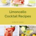Limoncello Cocktail Recipes Pin 2