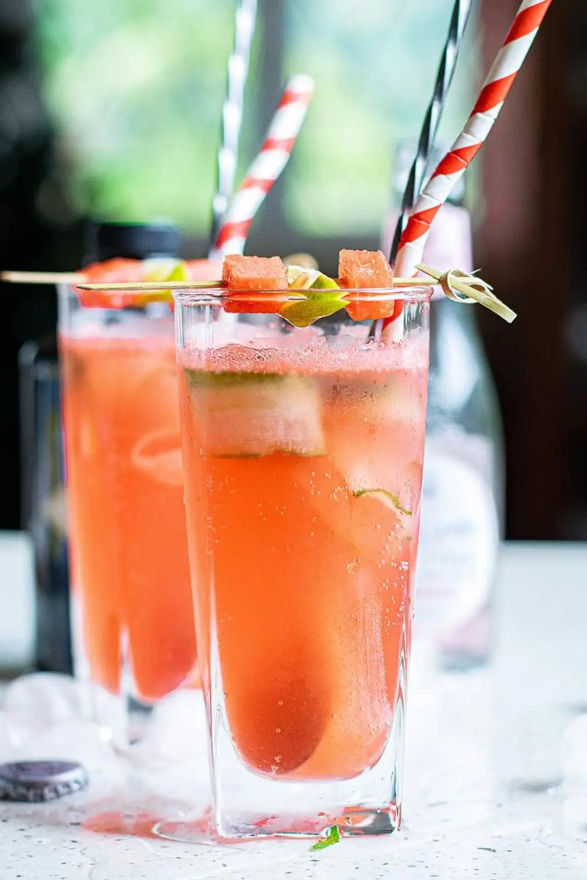 Watermelon Gin Tonic 37 Great Gin Cocktails To Try