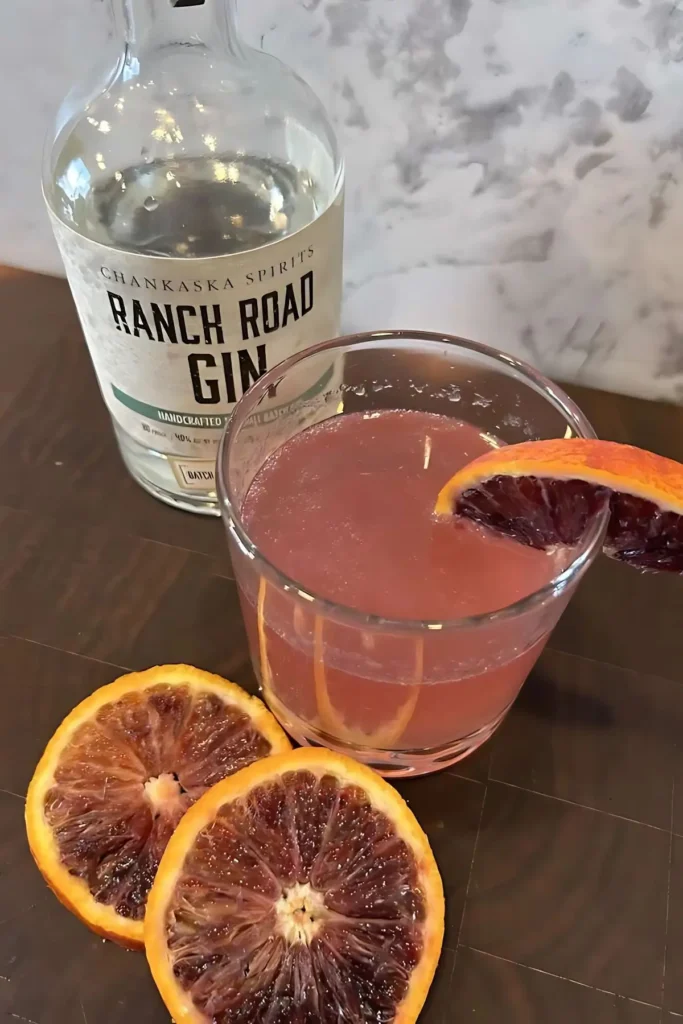 The classic gin fizz is given a modern twist in this elegant blood-orange gin fizz!