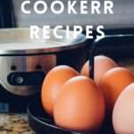 Dash egg cooker Archives - MyFoodChannel