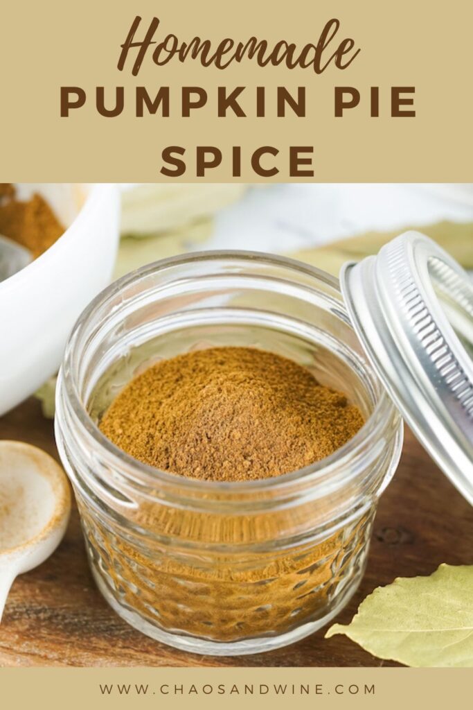 Pumpkin Pie Spice Pin 1