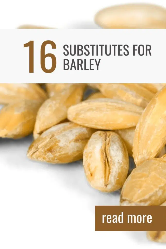 16 of the Best Substitutes for Barley 16 of the Best Substitutes for Barley