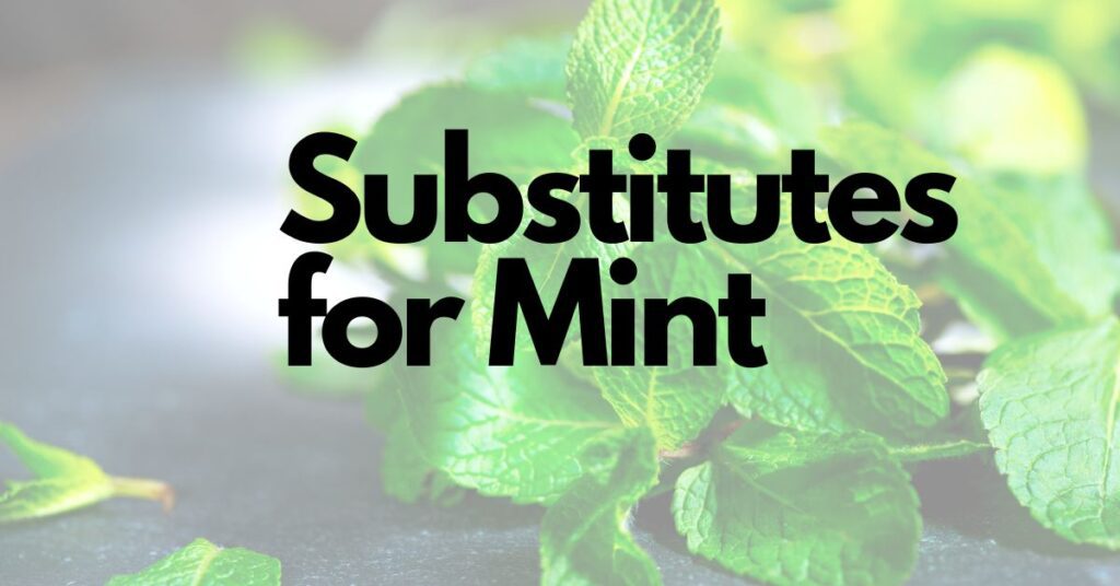 The best substitutes for mint with fresh mint leaves in the background for the featured image.