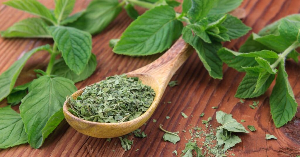 A wooden spoon full of dried mint with fresh mint leaves on a wooden cutting board.