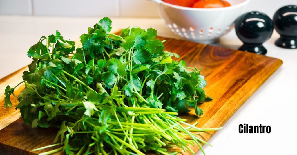 A bunch of fresh cilnatro on a wooden cutting board to substitute for fresh mint.