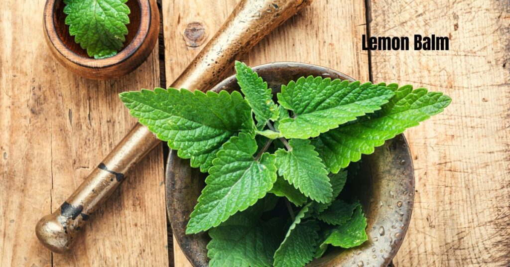 Fresh lemon balm on a wooden table with a mortar and pestle.