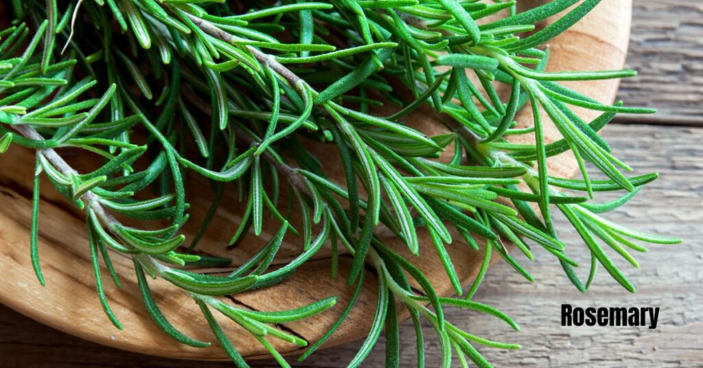 Fresh rosemary sprigs in a wooden bowl on a wooden table.