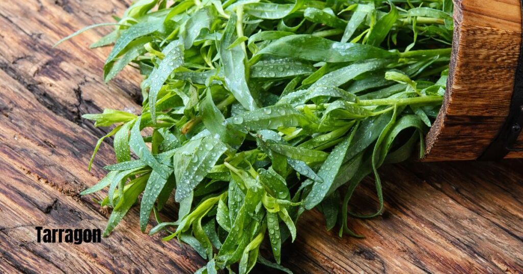 A wooden pot of fresh tarragon slightly damp spilling onto a wooden table.